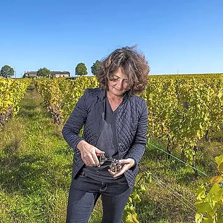 Chateau Sigalas Rabaud Frühstückspension Bommes
