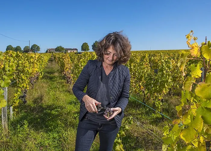 Château Sigalas Rabaud Alojamento de Acomodação e Pequeno-almoço