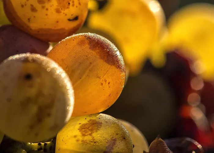 Château Sigalas Rabaud Alojamento de Acomodação e Pequeno-almoço 4*